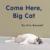 Come Here, Big Cat