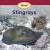 About Stingrays