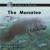 Animals in Danger the Manatee