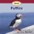 About Puffins