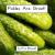 Pickles are Great!