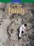 Windows on Literacy Fluent (Science: Earth/Space): Fossils
