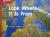 Reading Wonders Leveled Reader Look Where It Is From: Approaching Unit 9 Week 3 Grade K