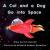 A Cat and a Dog Go Into Space