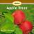 About Apple Trees