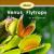 About Venus Flytraps