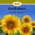 About Sunflowers