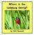 Where Is the Ladybug Going?