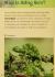 Windows on Literacy Fluent Plus (Science: Life Science): Strange Animals