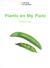 Plants on My Plate