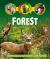 Life Cycles: Forest