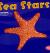 Sea Stars