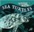 Sea Turtles (Marine Life)