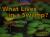 Windows on Literacy Emergent (Science: Earth/Space): What Lives in a Swamp