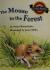 Houghton Mifflin Leveled Readers: Mouse in the forest