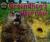 Groundhog's Burrow