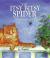 Itsy Bitsy Spider CD Package