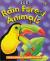Rain Forest Animals