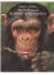 The Truth about Animal Intelligence