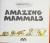 Amazing Mammals