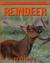 Reindeer: a Picture Book of Amazing Nature Facts for Kids