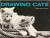 Drawing Cats