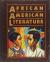 African American Literature Voices in a Tradition