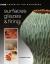 Ceramics for Beginners Surfaces, Glazes and Firing
