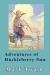The Adventures of Huckleberry Finn