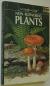 Mushrooms and Other Non-flowering Plants