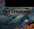 Sea Creatures
