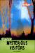 Mysterious Visitors