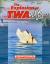 The Explosion of Twa Flight 800