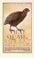 That Quail, Robert