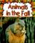 Animals in the Fall