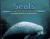 Seals