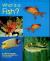 What Is a Fish?
