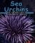 Sea Urchins