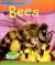 Bees