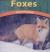 Foxes Clever Hunters