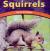 Squirrels Furry Scurriers