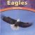 Eagles Birds of Prey