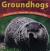 Groundhogs Woodchucks, Marmots, and Whistle Pigs