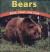 Bears Paws, Claws, and Jaws