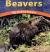 Beavers Big-Toothed Builders