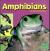 Amphibians