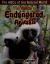 The ABCs of Endangered Animals