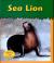 Sea Lion