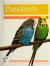 Parakeets