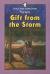 Gift from the Storm And Other Stories of Children Around the World
